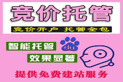 SEM竞价推广案例：电商行业成功案例解析